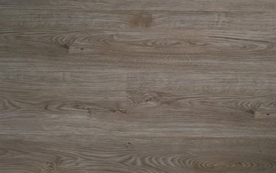 Grigio texture del legno, legno, sfondo grigio, pavimento in legno, texture, texture di legno di quercia