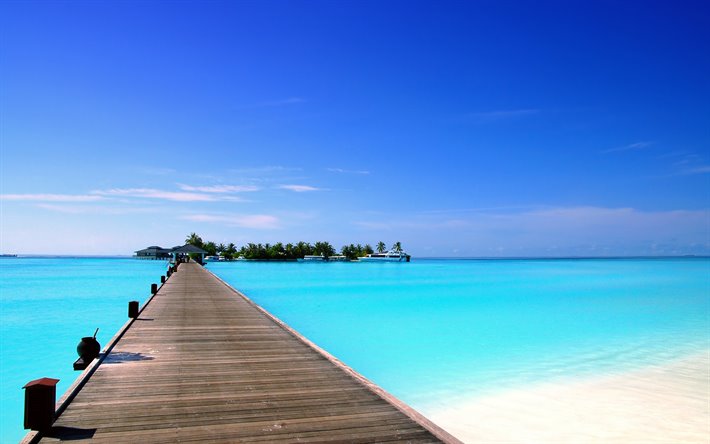 tropiska &#246;n, morgon, palmer, bl&#229; lagunen, Dhigurah Island, Maldiverna
