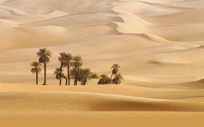 ダウンロード画像 砂漠 砂丘 オアシス ヤシの木 砂 アフリカ フリー のピクチャを無料デスクトップの壁紙