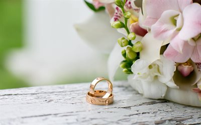 Guld vigselringar, rosa orkid&#233;er, br&#246;llop koncept, ringar, guld smycken