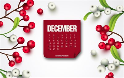dezember 2019 kalender, rotes papier, monats-kalender, dezember, hintergrund mit beeren, kalender