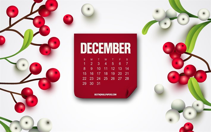 D&#233;cembre 2019 Calendrier, papier rouge, de calendrier mois, d&#233;cembre, arri&#232;re-plan avec des baies, des calendriers