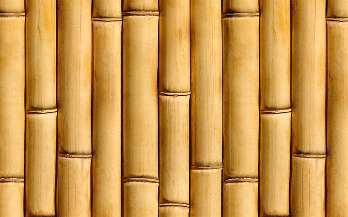 vertical bamboo sticks, close-up, brown bamboo trunks, macro, bamboo textures, brown bamboo texture, bamboo canes, horizontal bamboo texture, bamboo, bamboo sticks, bambusoideae sticks