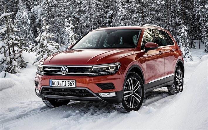 Volkswagen Tiguan, 2017, winter, snow, forest, red Tiguan, crossover, VW Tiguan