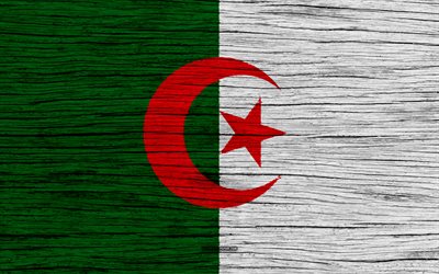 Flag of Algeria, 4k, Africa, wooden texture, Algerian flag, national symbols, Algeria flag, art, Algeria