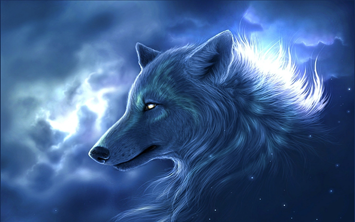 white wolf, predators, night, art, wolf