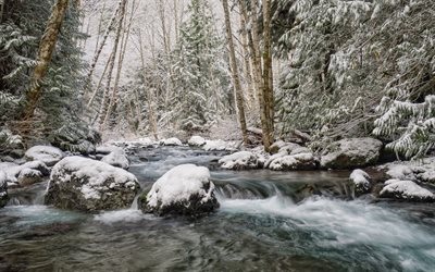 mountain river, winter, snow, forest, water