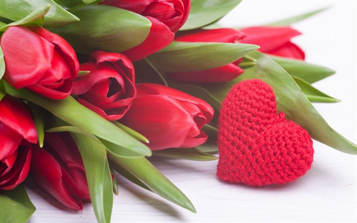 tulipani rossi, il Giorno di san Valentino, il 14 febbraio, rosso tessuto di cuore, romanticismo, tulipani, bellissimi fiori rossi