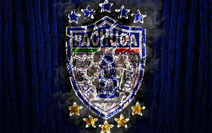 Club Pachuca, br&#228;nda logotyp, Primera Division, gula tr&#228; bakgrund, Liga MX, Mexikansk fotboll club, grunge, CF-Pachuca, fotboll, Club Pachuca logotyp, brand konsistens, Mexiko, Pachuca FC