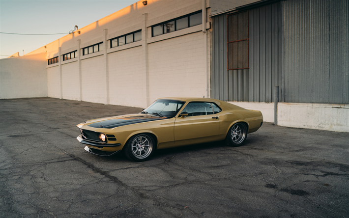 Ford Mustang, retro sports car, golden Mustang, american sports cars, RDJ Boss 302 SpeedKore, Ford