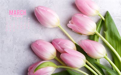 2020 March Calendar, pink tulips, pink flowers, 2020 calendars, March, 2020 concepts, March 2020 Calendar