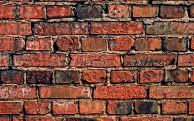 brun mur de brique, brun texture de brique, brique, mur, texture, texture des briques