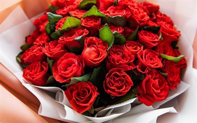red roses, beautiful red bouquet, bouquet of roses, background with roses, roses