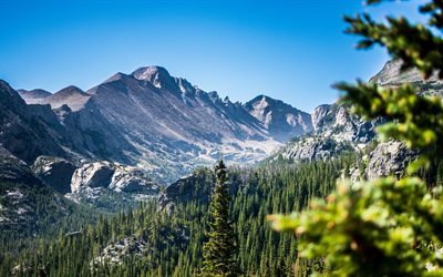 America, 4k, Rocky Mountain National Park, summer, forest, Colorado, USA
