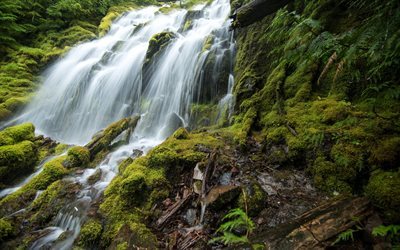 Upper Proxy Falls, Waterfall, rock, Oregon, USA