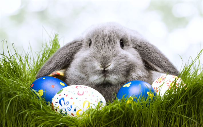 Happy Easter, 4k, Easter bunny, tulips, easter eggs, easter decoration, Easter