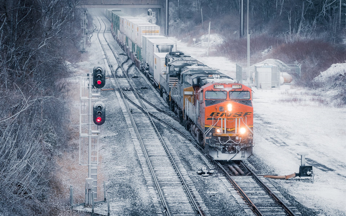 Locomotiva, treno, trasporto container su rotaia, consegna merci, con contenitori, USA, trasporto ferroviario, in Pennsylvania