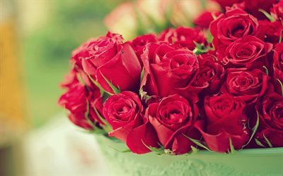 الورود الحمراء, براعم الورود, حمراء كبيرة باقة جميلة, الورود