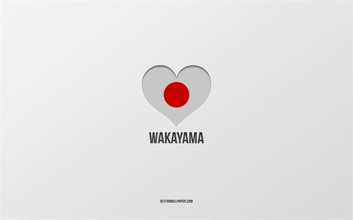 I Love Wakayama, cidades japonesas, fundo cinza, Wakayama, Jap&#227;o, cora&#231;&#227;o de bandeira japonesa, cidades favoritas, Love Wakayama
