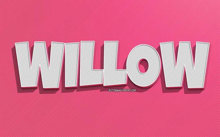 Willow, fond de lignes roses, fonds d&#39;&#233;cran avec noms, nom de saule, noms f&#233;minins, carte de voeux de saule, dessin au trait, photo avec nom de saule