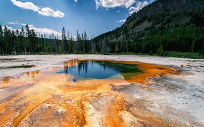 geyser, hot spring, Yellowstone, Grand Prismatic Spring, Yellowstone National Park, Wyoming, USA