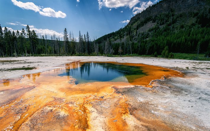 geysir, kuuma l&#228;hde, Yellowstone, Grand Prismatic Spring, Yellowstonen kansallispuisto, Wyoming, USA