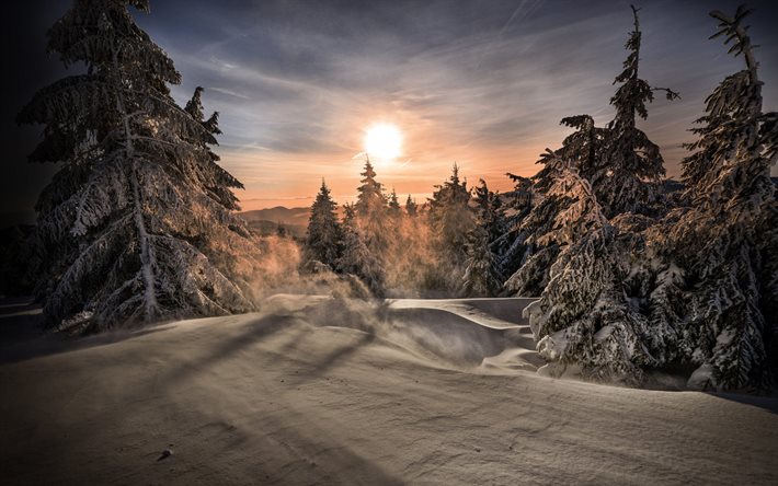 snowy forest, evening, sunset, winter landscape, snow, mountains, forest, winter