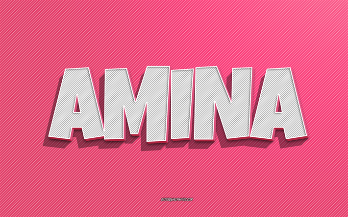 amina, rosa linien hintergrund, tapeten mit namen, amina-name, weibliche namen, amina-gru&#223;karte, strichzeichnungen, bild mit amina-namen