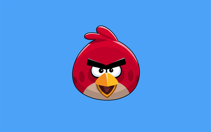 Red, 4k, minimal, protagonist, Angry Birds, blue background