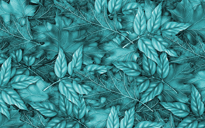 bleu feuille de texture, turquoise feuille de fond, texture naturelle, turquoise flore textures, 3d, des feuilles, fond avec des feuilles bleues