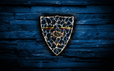 Lecce FC, burning logo, Serie B, blue wooden background, italian football club, US Lecce, grunge, football, soccer, Lecce logo, Lecce, Italy