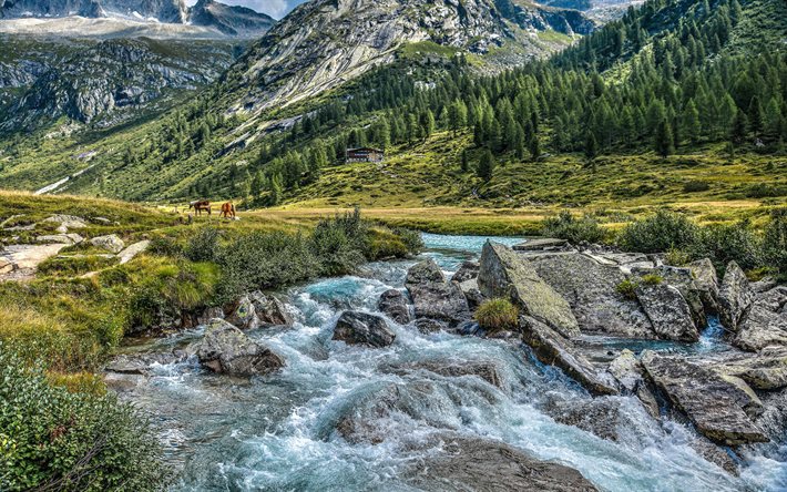 Duman Alpler, dağ, nehir, peyzaj, orman, Val di Fumo, Rifugio Val di Fumo, Barınak Valley, Trentino, İtalya