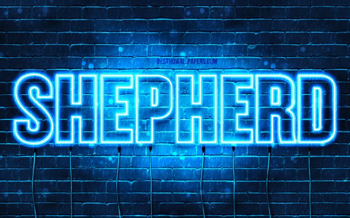 Shepherd, 4k, tapeter med namn, &#246;vergripande text, Shepherd namn, bl&#229;tt neonljus, bild med Herde namn