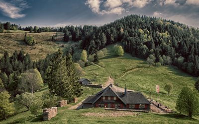 paisagem de montanha, Alpes, colinas verdes, Alemanha, floresta, casas de madeira