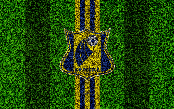 FC Rostov, 4k, logo, grass texture, Russian football club, blue yellow lines, football lawn, Russian Premier League, Rostov-on-Don, Russia, football