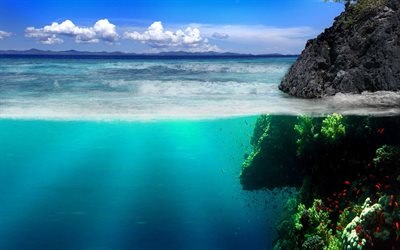 tropical island, coast, under water and over water, ocean, reef, coral, waves, fish, fauna