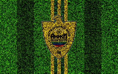 FC Anzhi Makhachkala, 4k, logo, grass texture, Russian football club, yellow green lines, football lawn, Russian Premier League, Makhachkala, Russia, football