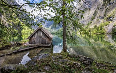 mountain lake, wooden hut, Alps, spring, Bavaria, Germany, forest