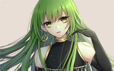 Enkidu, cabelo verde, Falso-Lancer, personagens de anime, manga, TIPO-LUA, Sorte Grande Ordem