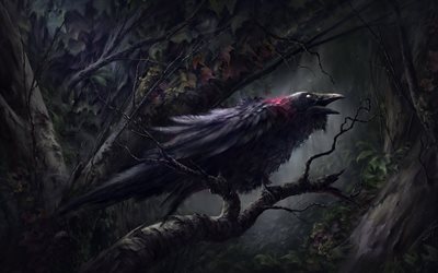 レイヴン, 森林, 暗闇, 作品, 黒い鳥