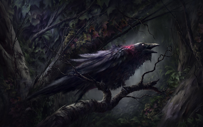Raven, forest, darkness, artwork, black bird