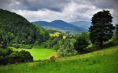 dağ manzarası, yeşil tepeler, Beskydy, Karpatlar, Polonya, orman, yeşil &#231;imen, yaz