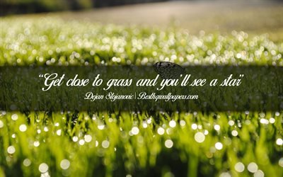 Get close to grass and you will see a star, Dejan Stojanovic, calligraphic text, quotes about stars, Dejan Stojanovic quotes, inspiration, background with grass
