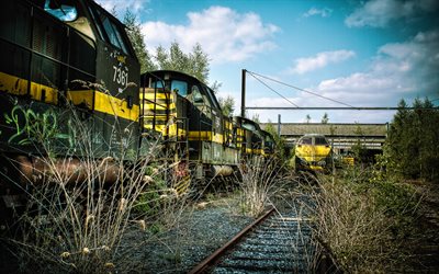 abandoned trains, HDR, railway, growths, cargo transport, trains, Lima 7361