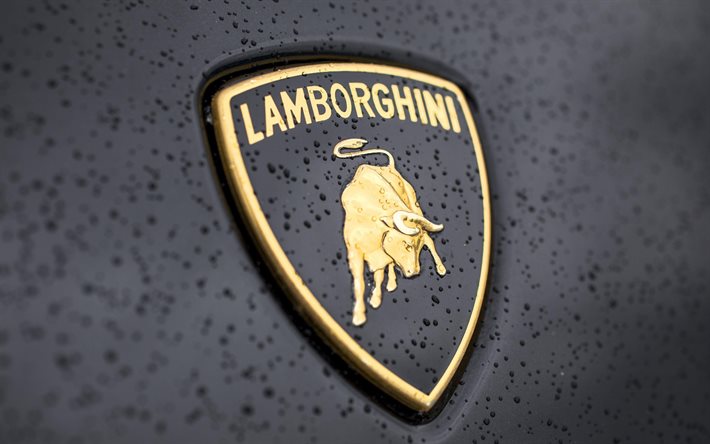 Lamborgini logotyp, 4k, bilar varum&#228;rken, supercars, italienska bilar, Lamborgini