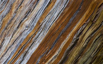 木の角質感, 近, 茶褐色の木製の背景, 木の背景, 木材の質感, マクロ, 茶色の背景, 対角の木造パターン