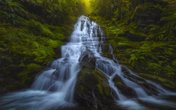 cascading waterfall, rocks, forest, green trees, waterfall, mountains, Washington State, USA