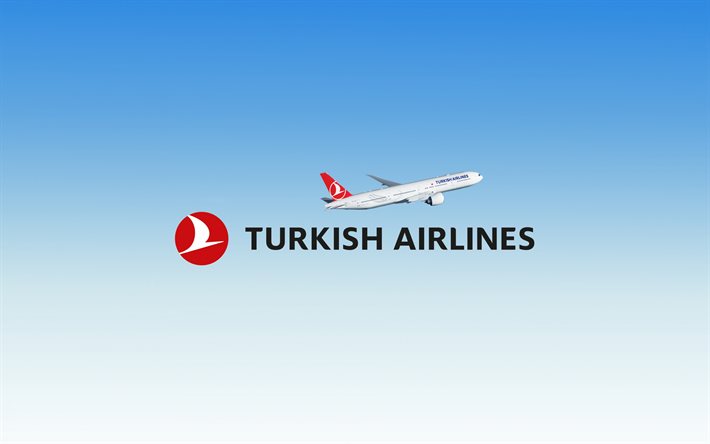 Turkish Airlines logo, compagnies a&#233;riennes de passagers, ciel bleu, des passagers des avions, de la Turquie