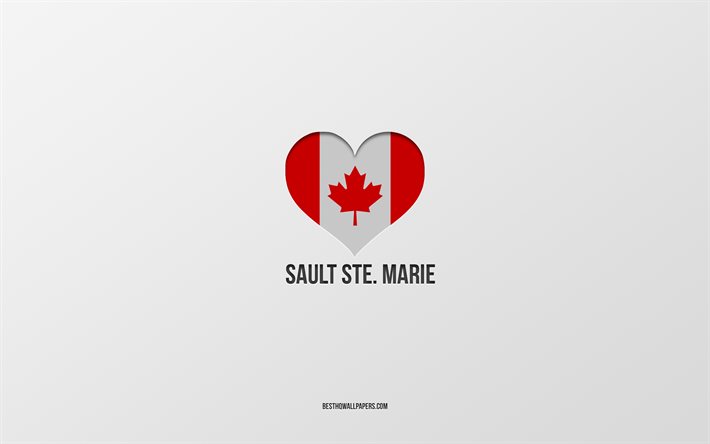 Amo Sault Ste Marie, citt&#224; canadesi, sfondo grigio, Sault Ste Marie, Canada, cuore della bandiera canadese, citt&#224; preferite, Love Sault Ste Marie