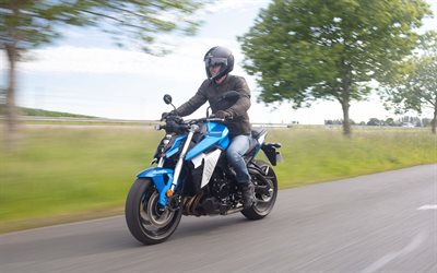 Suzuki GSX-S950, 4k, highway, 2021 bikes, superbikes, 2021 Suzuki GSX-S950, japanese motorcycles, Suzuki